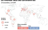 Le monde face au coronavirus