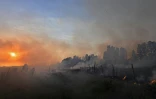 Un incendie de forêt près de Melloula, dans le nord-ouest de la Tunisie, près de la frontière avec l'Algérie, le 24 juillet 2023