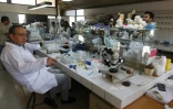 Le marocain Adnane Remmal, chef du laboratoire de biotechnologie de l'Université Sidi Mohamed Ben Abdallah de Fès, au centre du Maroc, avec son équipe le 30 juin 2017
