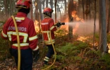 Les pompiers portugais combattent le feu à Calheta sur l'île de Madère, le 10 août 2016