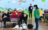 Un voyageur caresse Dino, un golden retriever conduit par sa dresseuse Vesna Kiskovska (d) à l'aéroport international de Skopje, le 29 janvier 2025 en Macédoine du Nord