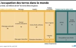 L'occupation des terres dans le monde