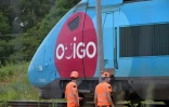 Des agents de la SNCF près d'un TGV Ouigo dans la banlieue de Chartres, à Vald'yerre, dans le nord de la France le 26 juillet 2024