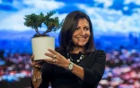 Anne Hidalgo avec le  bonsaï que lui a offert le maire de Rio, Eduardo Paes, le 1er décembre 2016 à Rio