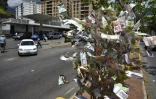 Un arbre décoré de billets démonétisés par l'hyperinflation, le 10 mars 2019 à Caracas