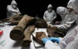 Des scientifiques procèdent à une nécropsie sur Iana, un mammouth femelle de 130 000 ans, à Iakoutsk, le 27 mars 2025 dans l'Extrême-Orient russe