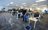 Trevor Watt joue avec son Yorkshire Terrier Samson dans les locaux de l'entreprise Chandos Bird, le 4 mai 2022 à Ottawa, au Canada