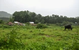 Le village philippin de Capas, à une centaine de kilomètres au nord de Manille, le 2 septembre 2026 à 