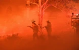 Des pompiers luttent contre les flammes le 31 décembre 2019 près de la ville de Nowra, en Australie