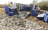 Shannon Batte vide des poubelles remplies de coquilles d'huîtres sur un "site de cure", avant d'être recyclées en récif, le 21 décembre 2020 à Pasadena, au Texas