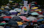 Des partisans du mariage gay rassemblés sous la pluie devant le Parlement, le 17 mai 2019 à Taipei, à Taïwan