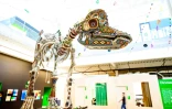 Une sculpture de dinosaure au nouveau campus de Google, le 27 juin 2022 à Mountain View, en Californie