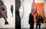 "Fisheries" de l'artiste américain Mark Dion, le 19 octobre 2016 au Grand Palais à Paris