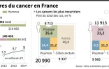 Les chiffres du cancer en France