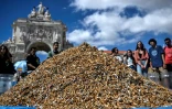 Un tas de mégots déposés par des militants pour la protection de l'environnement sur une place du centre de Lisbonne lors d'une action de sensibilisation contre ce type de pollution, le 23 avril 2023