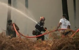 Des pompiers et des volontaires combattent un incendie de forêt à Lanton le 29 juillet 2026, lors des feux de forêt dans le département de la Gironde, dans le sud-ouest de la France