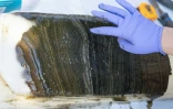 Des lignes d'années visibles sur une section de sédiments recueillis au fond du lac Crawford par une équipe de scientifiques, le 12 avril 2023 au Canada
