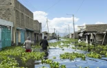 Des habitants traversent leur quartier des bords du lac Naivasha, dans le centre du Kenya, inondé par la montée des eaux, le 17 novembre 2025