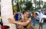 Après l'ail, le vacoa et le palmiste, le goyavier ou encore le miel vert, c'est au tour du coco de faire la fête à Grande-Fontaine (Saint-Paul) ce mercredi 23 août 2000