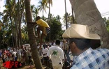 Après l'ail, le vacoa et le palmiste, le goyavier ou encore le miel vert, c'est au tour du coco de faire la fête à Grande-Fontaine (Saint-Paul) ce mercredi 23 août 2000