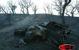 mercredi 30 juillet 2003
De violents incendies continuent de ravager le massif des maures dans le Var (Sud de l'Hexagone)
Photo Frédéric Lafargue