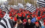 Manifestation des "bonnets rouges" pour l'emploi et contre l'écotaxe, le 2 novembre 2013 à Quimper