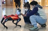 Des enfants jouent avec un chien robot doté d'intelligence artificielle dans un magasin de l'entreprise technologique Weilan à Nanjing, dans la province du Jiangsu, le 9 janvier 2025 dans l'est de la Chine