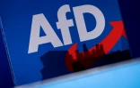 Créditée de 22% dans les enquêtes d'opinion nationales fin 2023, l'engouement pour l'AfD s'est effrité depuis le début de l'année