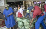 Réception d'une cargaison de choux invendus sur un marché de Johannesburg, le 17 février 2021 en Afrique du Sud