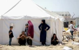 Déplacés palestiniens dans un camp de tentes à Khan Younès, dans le sud de la bande de Gaza, le 9 mai 2024