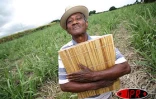 Mardi 7 novembre 2006 -

Firmin Viry, chantre du maloya, lance &quot;Mémoir in pèp&quot;son nouvel opus