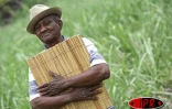 Mardi 7 novembre 2006 -

Firmin Viry, chantre du maloya, lance &quot;Mémoir in pèp&quot;son nouvel opus