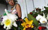 Flore et Halle, le salon de l'horticulture et du cadre de vie, s'est tenu du mercredi 1er août au dimanche 5 août 2001 au Port