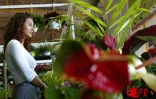Flore et Halle, le salon de l'horticulture et du cadre de vie, s'est tenu du mercredi 1er août au dimanche 5 août 2001 au Port