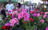 Les 5èmes Floralies de l'Océan Indien  ont eu lieu du vendredi 6 au dimanche 8 octobre 2000 au parc des Expositions de Saint-Denis de La Réunion. L'exposition vente était placée sous le thème &quot;les hommes et les plantes à travers le temps&quot;