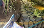 Les 5èmes Floralies de l'Océan Indien  ont eu lieu du vendredi 6 au dimanche 8 octobre 2000 au parc des Expositions de Saint-Denis de La Réunion. L'exposition vente était placée sous le thème &quot;les hommes et les plantes à travers le temps&quot;