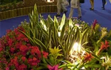 Les 5èmes Floralies de l'Océan Indien  ont eu lieu du vendredi 6 au dimanche 8 octobre 2000 au parc des Expositions de Saint-Denis de La Réunion. L'exposition vente était placée sous le thème &quot;les hommes et les plantes à travers le temps&quot;