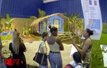 Les 5èmes Floralies de l'Océan Indien  ont eu lieu du vendredi 6 au dimanche 8 octobre 2000 au parc des Expositions de Saint-Denis de La Réunion. L'exposition vente était placée sous le thème &quot;les hommes et les plantes à travers le temps&quot;