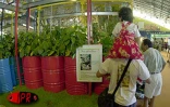 Les 5èmes Floralies de l'Océan Indien  ont eu lieu du vendredi 6 au dimanche 8 octobre 2000 au parc des Expositions de Saint-Denis de La Réunion. L'exposition vente était placée sous le thème &quot;les hommes et les plantes à travers le temps&quot;