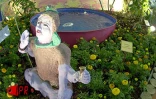 Les 5èmes Floralies de l'Océan Indien  ont eu lieu du vendredi 6 au dimanche 8 octobre 2000 au parc des Expositions de Saint-Denis de La Réunion. L'exposition vente était placée sous le thème &quot;les hommes et les plantes à travers le temps&quot;