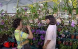 Les 5èmes Floralies de l'Océan Indien  ont eu lieu du vendredi 6 au dimanche 8 octobre 2000 au parc des Expositions de Saint-Denis de La Réunion. L'exposition vente était placée sous le thème &quot;les hommes et les plantes à travers le temps&quot;