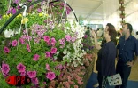 Les 5èmes Floralies de l'Océan Indien  ont eu lieu du vendredi 6 au dimanche 8 octobre 2000 au parc des Expositions de Saint-Denis de La Réunion. L'exposition vente était placée sous le thème &quot;les hommes et les plantes à travers le temps&quot;