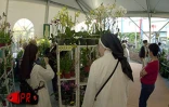 Les 5èmes Floralies de l'Océan Indien  ont eu lieu du vendredi 6 au dimanche 8 octobre 2000 au parc des Expositions de Saint-Denis de La Réunion. L'exposition vente était placée sous le thème &quot;les hommes et les plantes à travers le temps&quot;