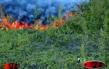 Éruption du 18 novembre 2002 au Piton de la Fournaise