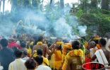 Mercredi 9 août 2006 - 

Marche sur le feu au temps Mariamen de Saint-Paul (Photo Luc Gigan)