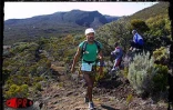L'édition 2001 du Grand raid, également surnommée Diagonale des fous, a eu lieu les 19, 20 et 21 octobre 2001