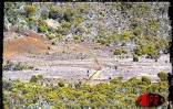 L'édition 2001 du Grand raid, également surnommée Diagonale des fous, a eu lieu les 19, 20 et 21 octobre 2001