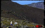 L'édition 2001 du Grand raid, également surnommée Diagonale des fous, a eu lieu les 19, 20 et 21 octobre 2001