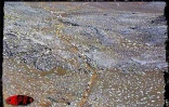 L'édition 2001 du Grand raid, également surnommée Diagonale des fous, a eu lieu les 19, 20 et 21 octobre 2001