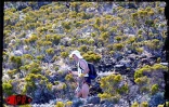 L'édition 2001 du Grand raid, également surnommée Diagonale des fous, a eu lieu les 19, 20 et 21 octobre 2001